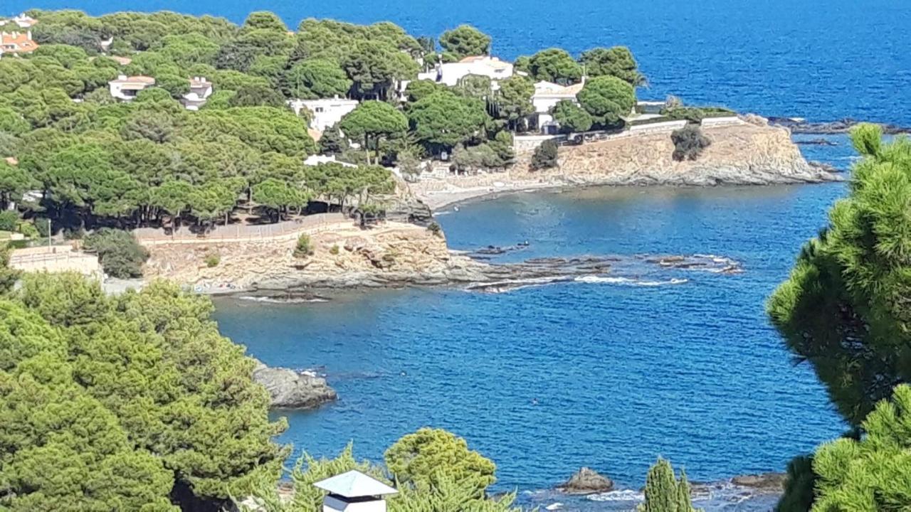 L'Armonia Entre La Farella I Cau Del Llop Διαμέρισμα Llança Εξωτερικό φωτογραφία