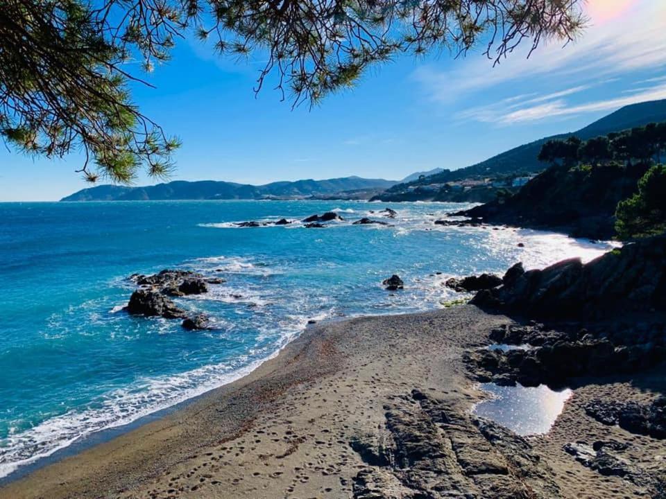 L'Armonia Entre La Farella I Cau Del Llop Διαμέρισμα Llança Εξωτερικό φωτογραφία