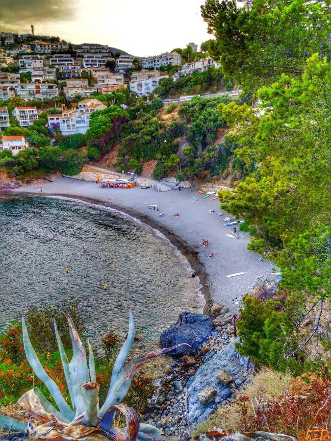 L'Armonia Entre La Farella I Cau Del Llop Διαμέρισμα Llança Εξωτερικό φωτογραφία