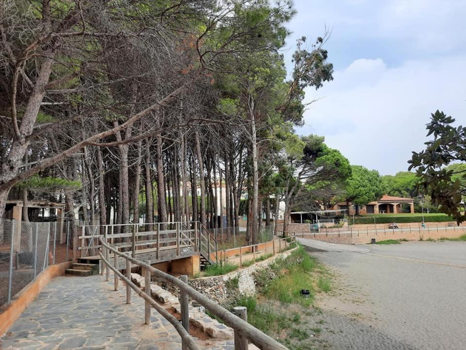 L'Armonia Entre La Farella I Cau Del Llop Διαμέρισμα Llança Εξωτερικό φωτογραφία
