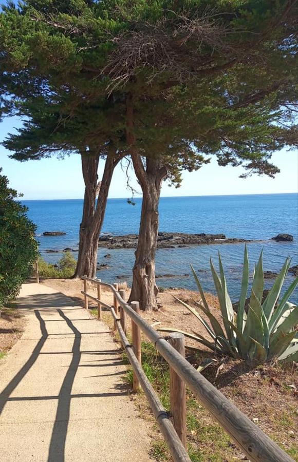 L'Armonia Entre La Farella I Cau Del Llop Διαμέρισμα Llança Εξωτερικό φωτογραφία