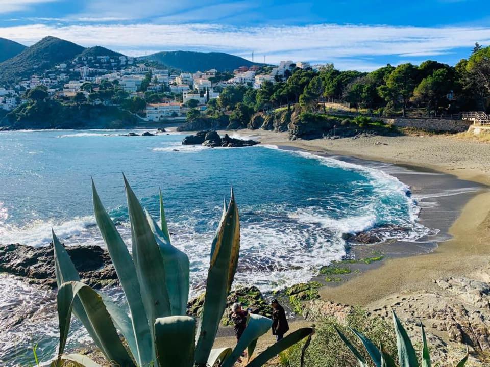 L'Armonia Entre La Farella I Cau Del Llop Διαμέρισμα Llança Εξωτερικό φωτογραφία